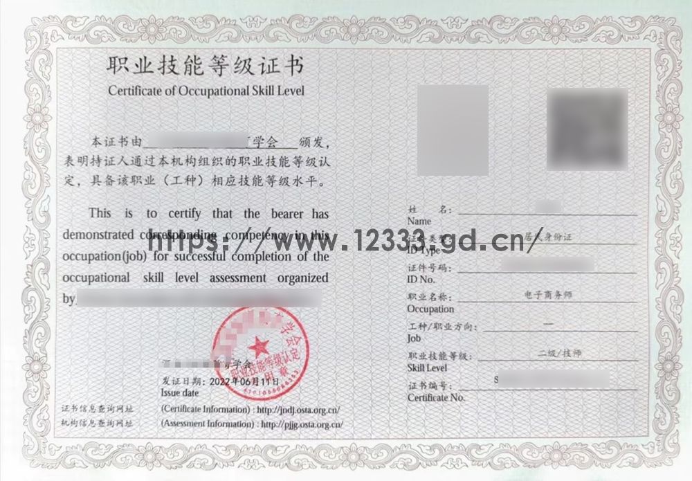 电子商务师二级.jpg