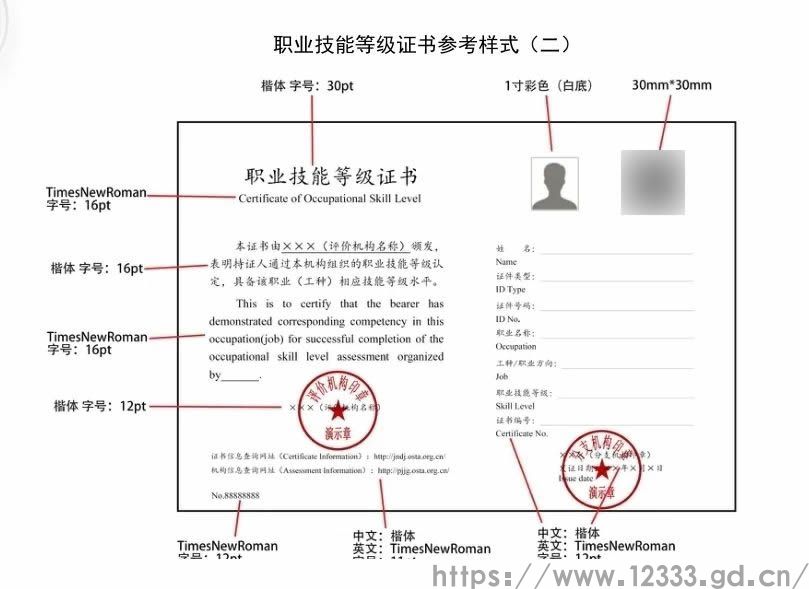 职业技能等级证书001.jpg